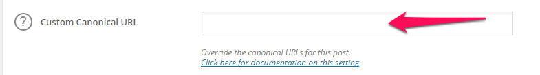 e-commerce canonical wordpress