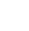 Mitsubishi Motors