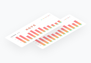 Site Audit
